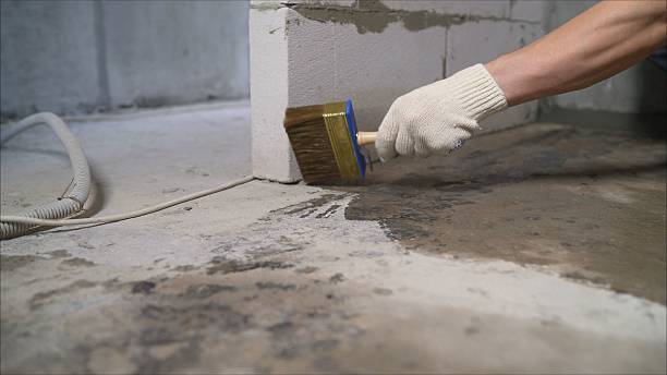 24/7 Emergency Crawl Space Encapsulation experts in New Market, IN